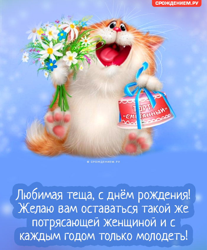 Шуточная открытка Тёще от Зятя с Днём Рождения, с тёплыми словами • Аудио от Путина, голосовые, музыкальные